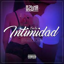 En La Intimidad Lyrics Ozuna gambar png