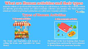 what are human activities and their