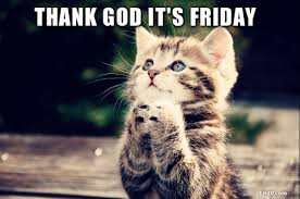 Maybe you would like to learn more about one of these? Free Download Thank God Its Friday Cat Praying 504x334 For Your Desktop Mobile Tablet Explore 47 It S Friday Wallpaper Happy Friday Wallpaper Friday Desktop Wallpaper Funny Friday Wallpaper