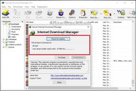 You will filter downloads with idm. Idm Crack 6 38 Build 17 Full Patch Serial Key Download Latest