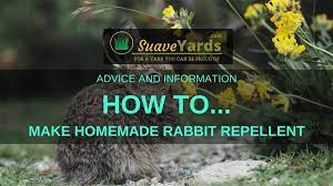 Homemade Rabbit Repellent Protect Your