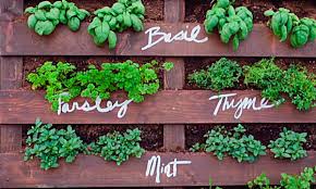 diy upcycled pallet herb garden