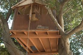 how to build a treehouse in 11 steps