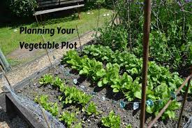 Planning Your Vegetable Plot