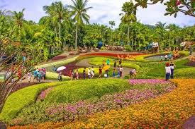 Guide to Nong Nooch Tropical Botanical Garden - Trazy Blog