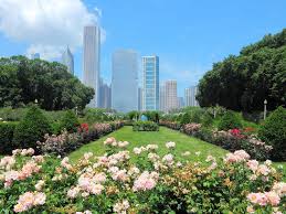 12 Most Beautiful Gardens In Chicago