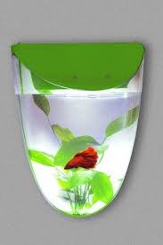 Acrylic Single Wall Fish Tank Aquarium
