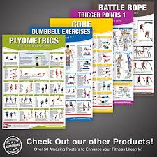 Functional Institutional Home Gym Poster Set Of 2