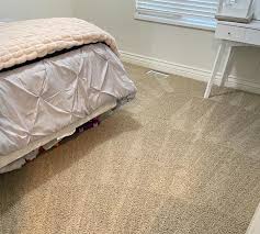1 carpet cleaner in springville ut