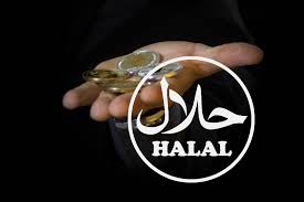 Islamic investing principles exclude fixed income, so the halal investing portfolio is an all equity portfolio. Fake Halal Crypto Investment Company Under Heat In India Cryptopolitan