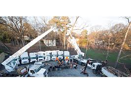 Maybe you would like to learn more about one of these? 3 Best Tree Services In Atlanta Ga Expert Recommendations