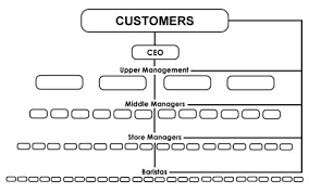Organizational Chart Of Starbucks Company