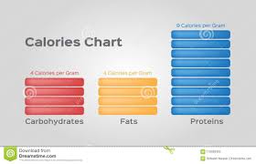 Calories Of Protein Fat And Carbohydrate Infographic Vector