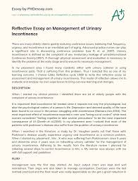 In such a situation, a reflective essay example will be a great way out. Reflective Essay On Management Of Urinary Incontinence Phdessay Com
