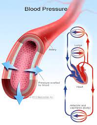 hypertension flowchart