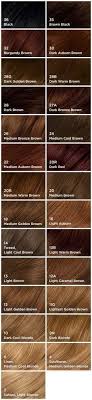 10 Best Brown Hair Chart Images Brown Hair Chart Hair