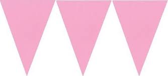 Amscan New Paper Pennant Banner 15ft Pink Price In Dubai Uae Compare Prices