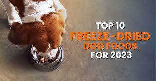top 10 freeze dried dog foods for 2023
