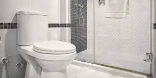 Check spelling or type a new query. Can A Toilet And Shower Share The Same Drain Toiletsman