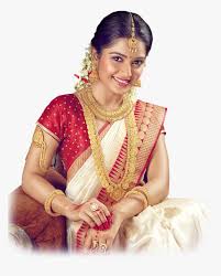 bridal south indian saree for bride hd