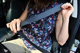 The Florida Seat Belt Laws You Need To