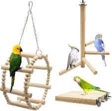bird toys latest from