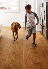 pet friendly flooring middlebury vt