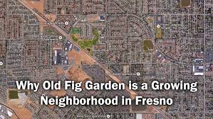 why old fig garden is a growing