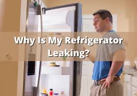 is your refrigerator leaking water