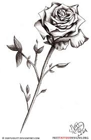 Black and white rose flowers tattoos on side rib. 50 Rose Tattoos Meaning Black Rose Tattoos Single Rose Tattoos Rose Stem Tattoo
