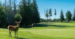 Morningstar Golf Club | Parksville Golf Course | BC Golf