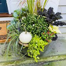 12 Fresh Fall Container Designs For