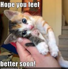 get well on Pinterest | Get Well Soon, Feel Better and Feel Better ... via Relatably.com