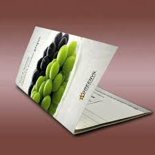 Custom Laminated Folding Flyer Trifold Brochure Printing Service
