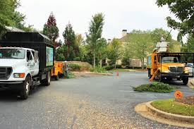 Emergency tree removal in lawrenceville. Tree Service Lawrenceville Tree Care Experts In Lawrenceville Ga Fast Free Quotes Sesmas Tree Service