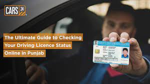 driving licence status in punjab
