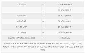 plasmid dna in kilo base pairs
