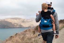 The Best Baby Carriers For Traveling Daily Use 2020