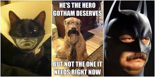 A hero can be anyone. Batman 10 Hilarious The Hero We Deserve Memes Cbr