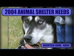 2004 mountain home shelter you