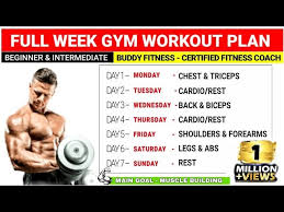 8 week workout plan to gain muscle at