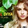 Chal diya dil tere phiche mp3 duration 3:33 size 8.13 mb / best music series 16. New Hindi Remix Ringtone Chal Diya Dil Tere Hq Audio Mp3 Mp4 Download 4 81 Mb 320kbps Laguanz