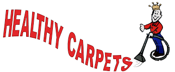 healthy carpet cleaning ann arbor 1
