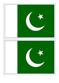 The flag for pakistan, which may show as the letters pk on some platforms. Pakistan Flag Templates At Allbusinesstemplates Com