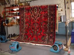 carpet oriental rug cleaning j