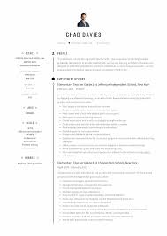 Teacher Resume Examples Free To Try Today