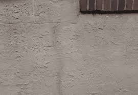 Stucco Remediation Mold And Termites