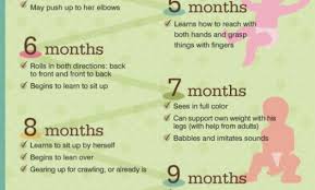 Baby Development Chart First Year Monthly Baby Milestones Chart