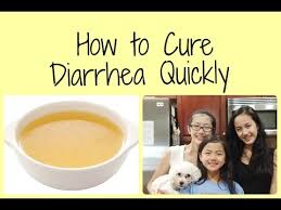 cure diarrhea fast humans dogs