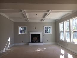Coffer Ceiling Color Agreeable Gray
